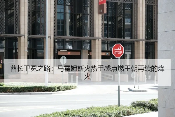 酋长卫冕之路：马霍姆斯火热手感点燃王朝再续的烽火
